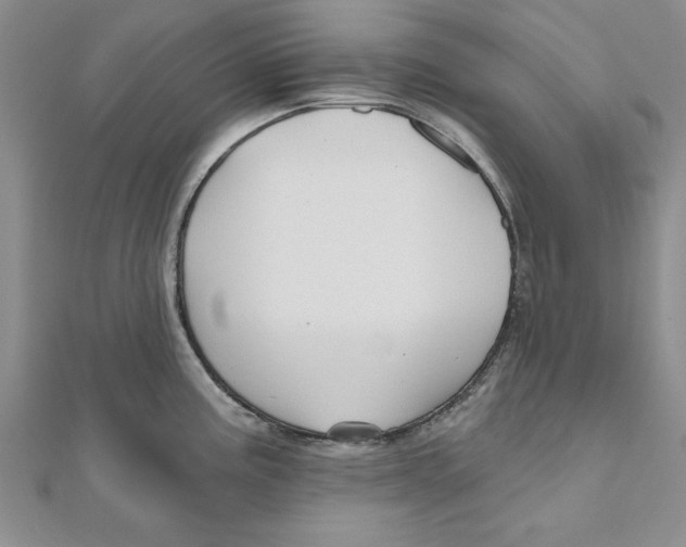 X0000111201195200907291223