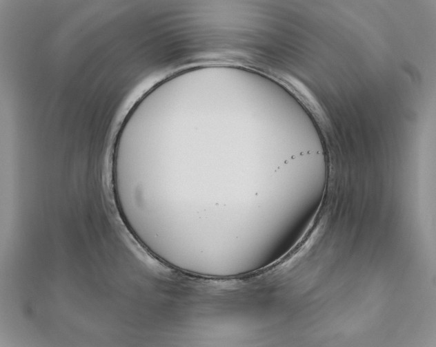 X0000111201196200907291223