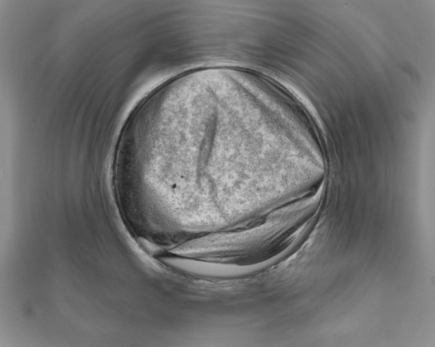 X0000111201197200907291223