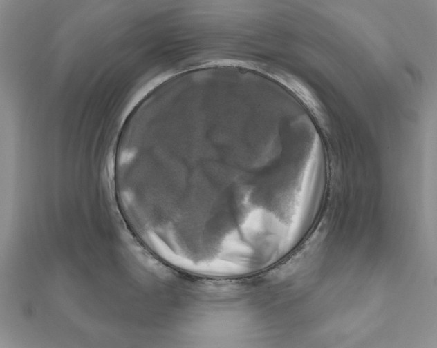 X0000111201198200907291223