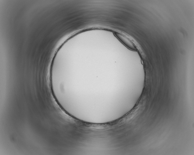 X0000111201199200907291223