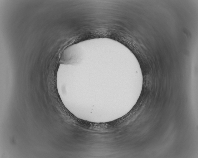 X0000111201201200907291223