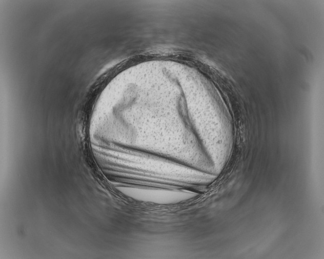 X0000111201206200907291223