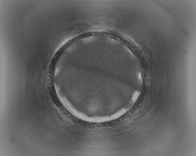 X0000111201208200907291223