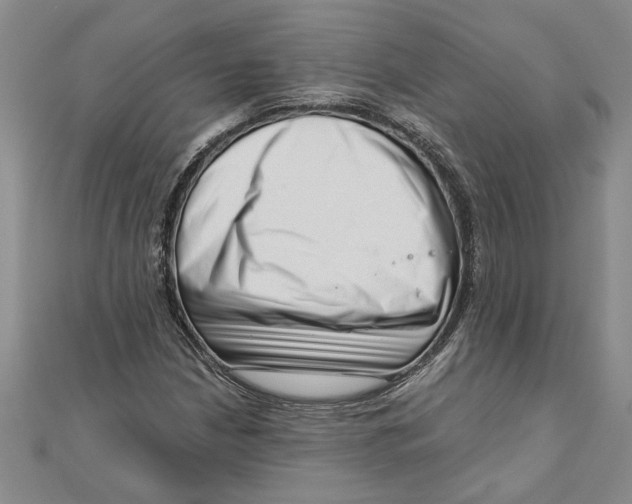 X0000111201210200907291223