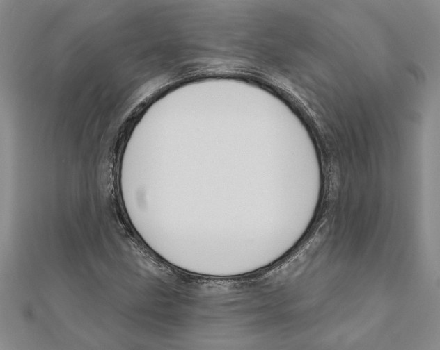 X0000111201211200907291223