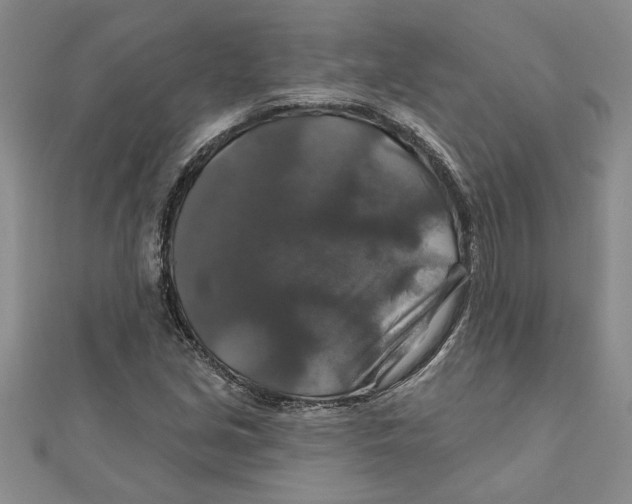 X0000111201213200907291223