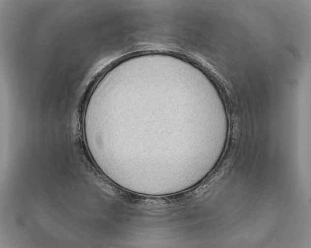 X0000111201215200907291223