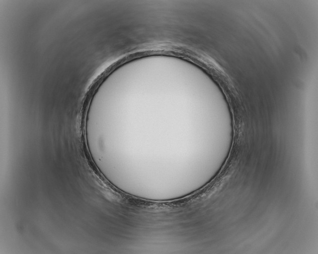 X0000111201216200907291223