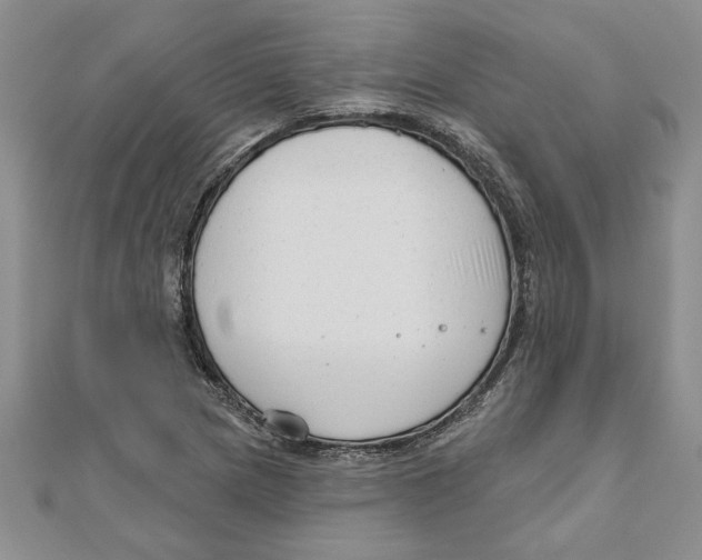 X0000111201217200907291223