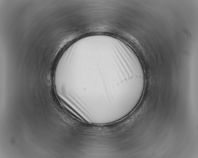 X0000111201218200907291223