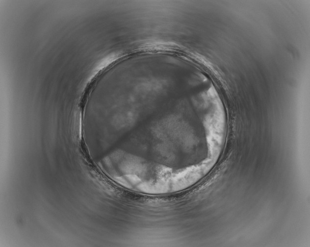 X0000111201219200907291223