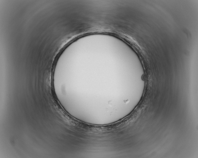 X0000111201220200907291223