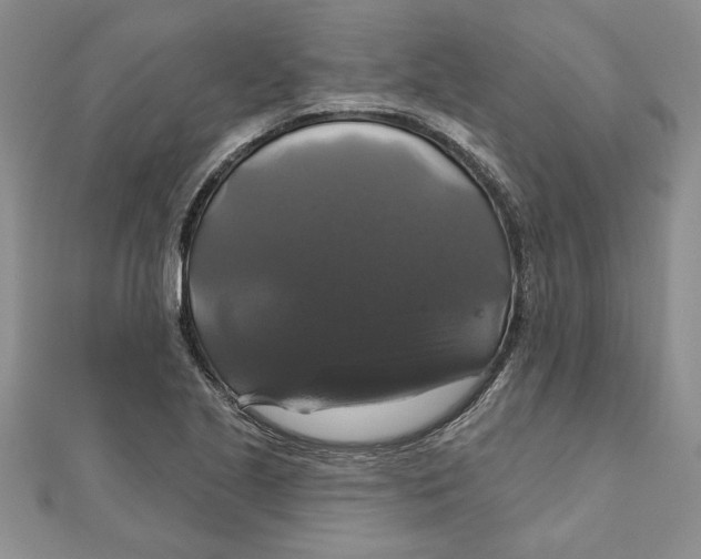 X0000111201221200907291223