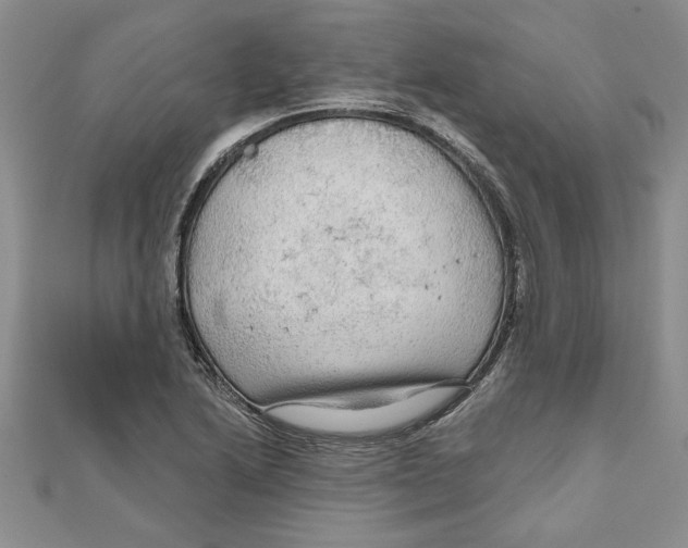 X0000111201222200907291223