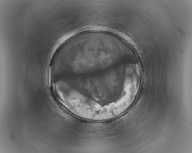 X0000111201223200907291223