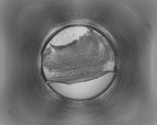 X0000111201224200907291223