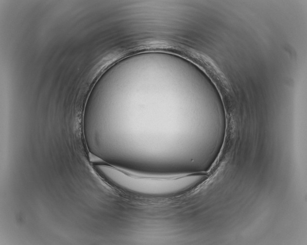 X0000111201225200907291223