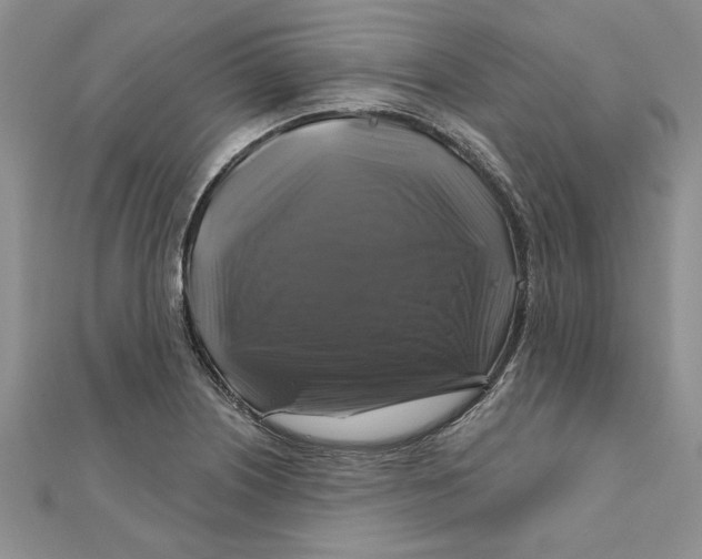 X0000111201226200907291223