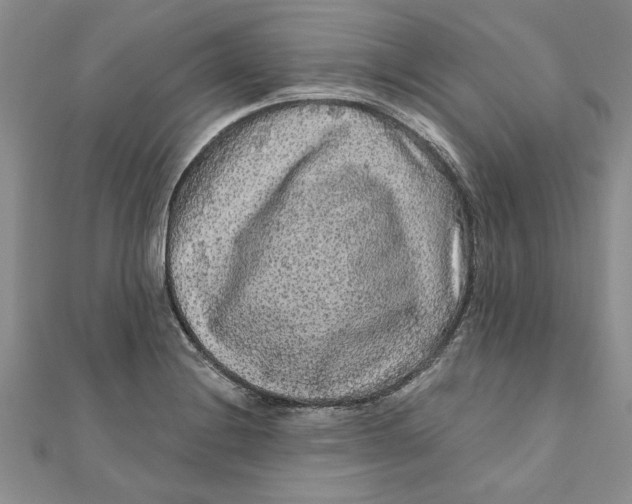 X0000111201228200907291223