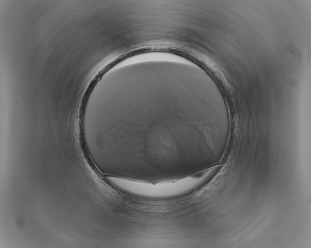 X0000111201229200907291223