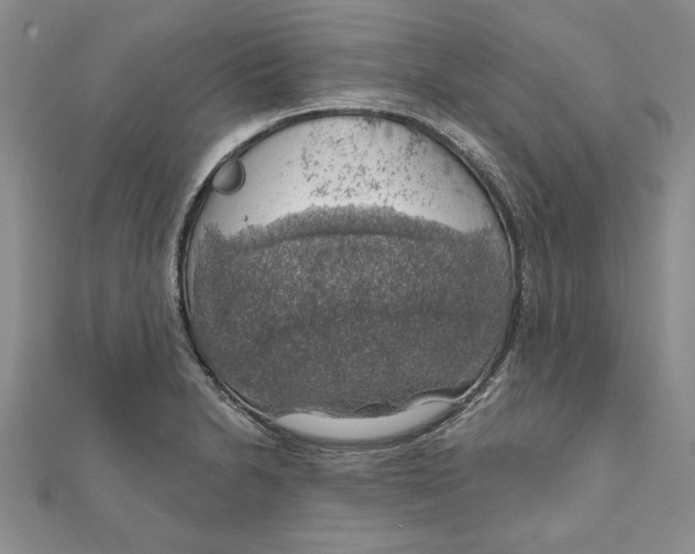 X0000111201230200907291223