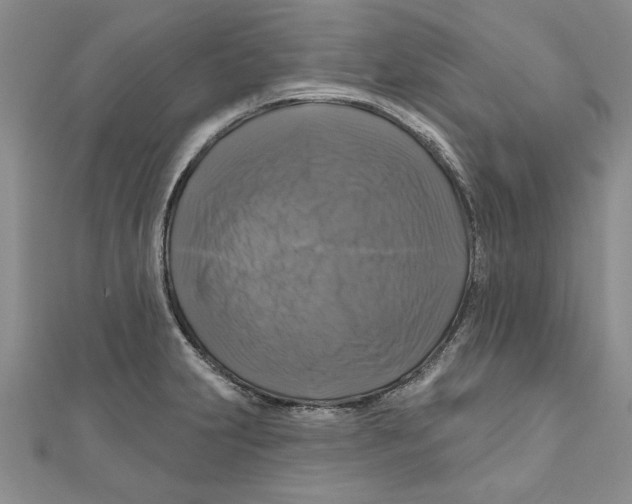 X0000111201231200907291223