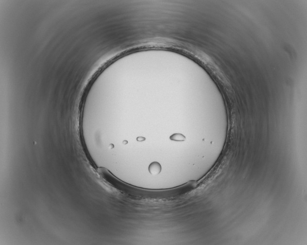 X0000111201232200907291223