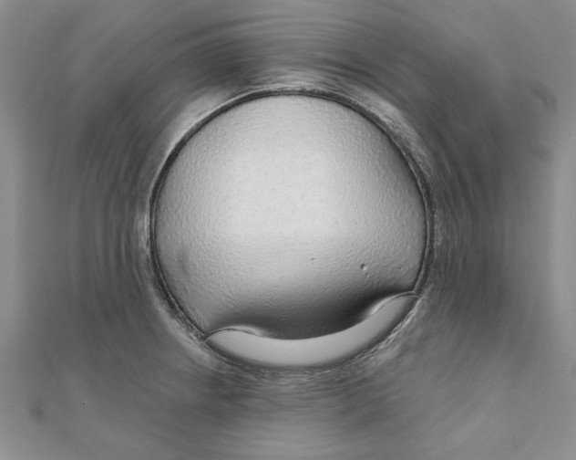 X0000111201234200907291223