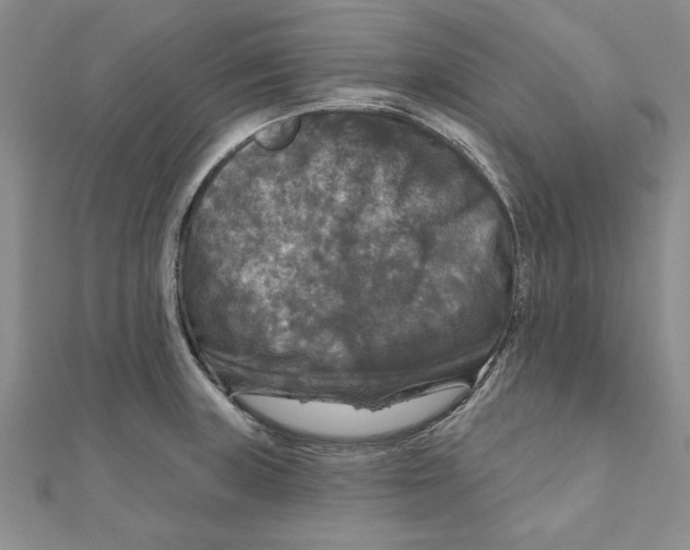 X0000111201235200907291223