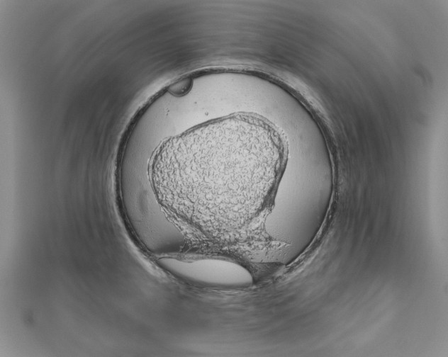 X0000111201237200907291223