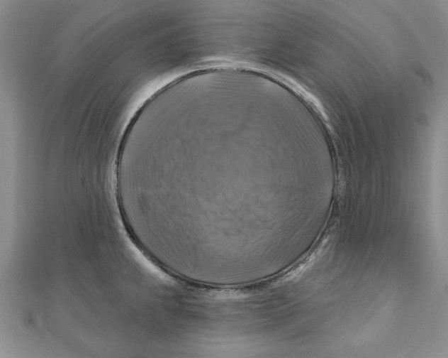 X0000111201239200907291223