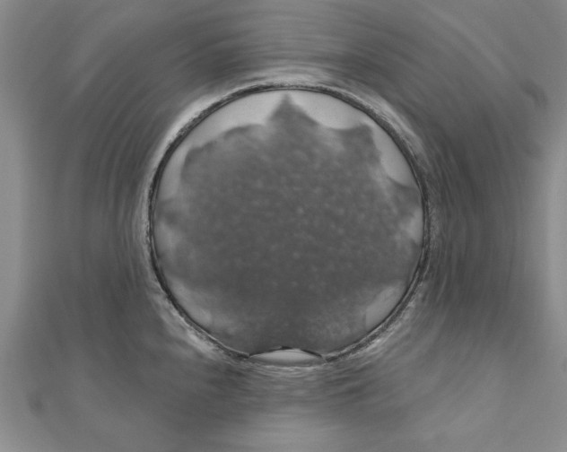 X0000111201240200907291223