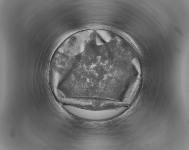 X0000111201244200907291223