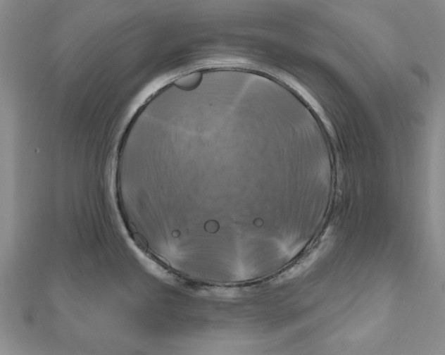 X0000111201245200907291223