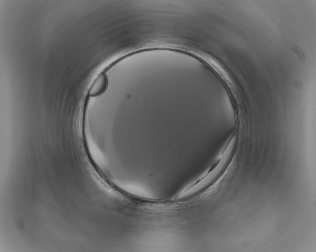 X0000111201246200907291223