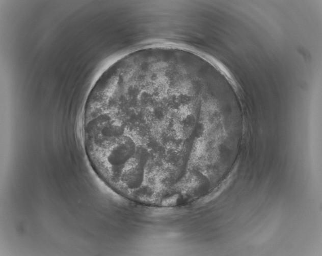 X0000111201247200907291223