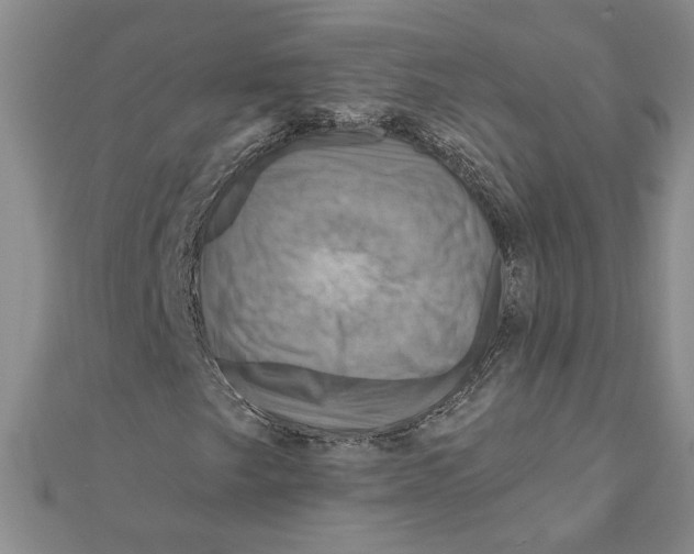 X0000111201249200907291223