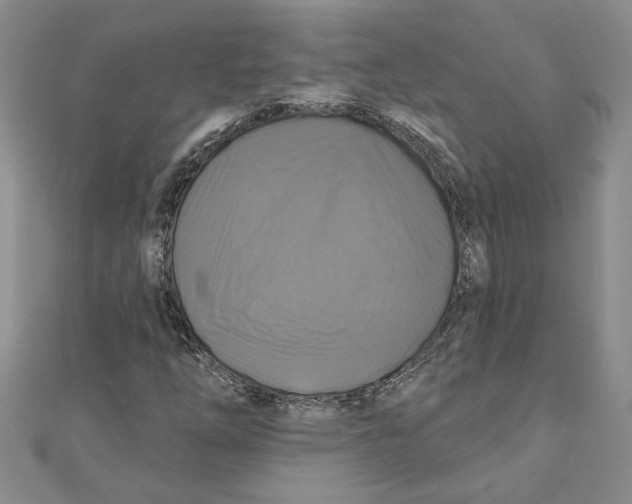 X0000111201254200907291222