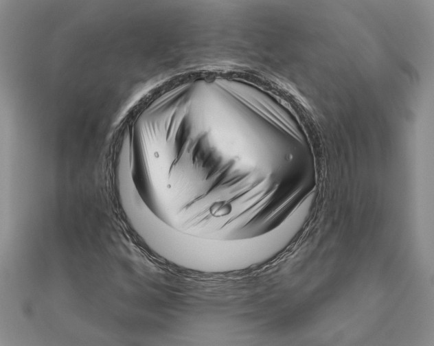 X0000111201256200907291222