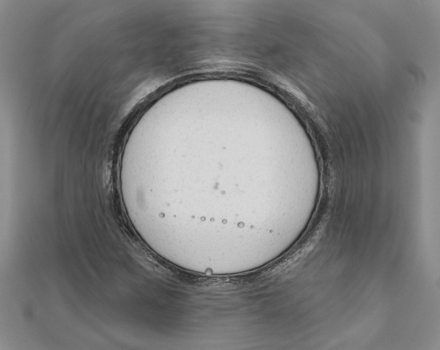 X0000111201259200907291222