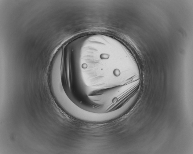 X0000111201260200907291222