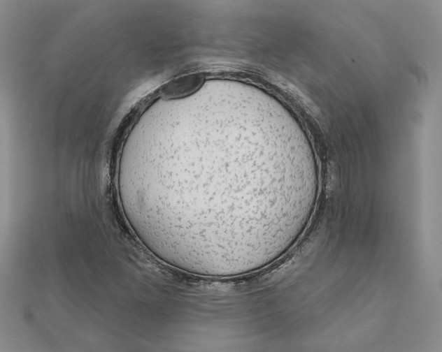 X0000111201261200907291222