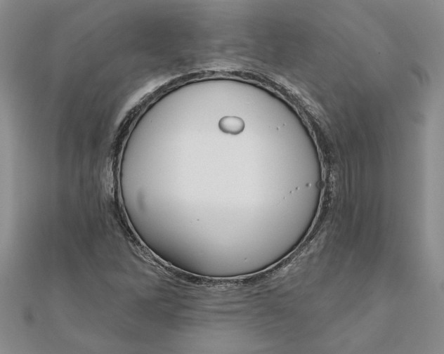 X0000111201262200907291222