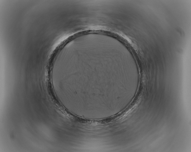 X0000111201263200907291222