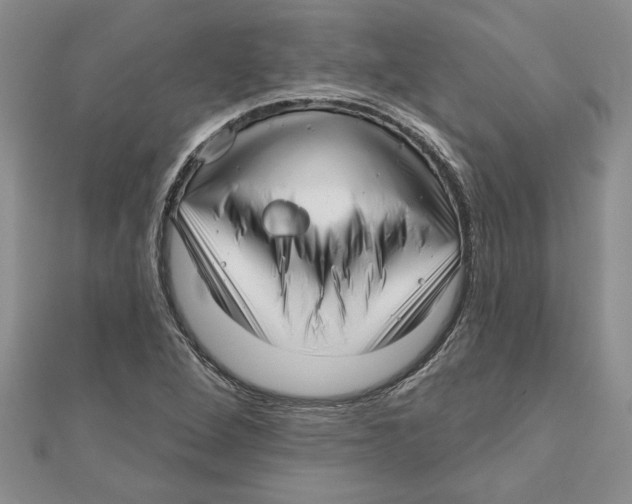 X0000111201264200907291222