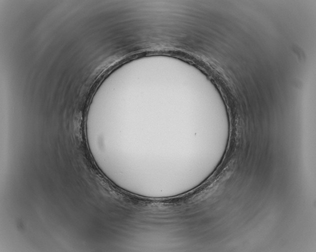 X0000111201265200907291222