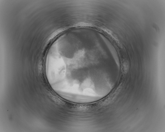 X0000111201266200907291222