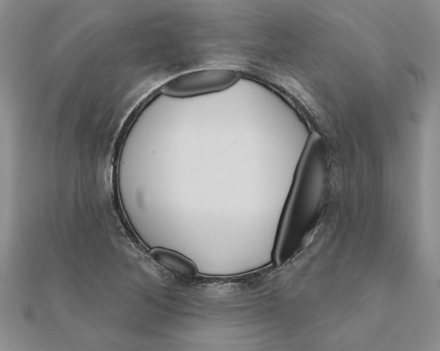 X0000111201268200907291222