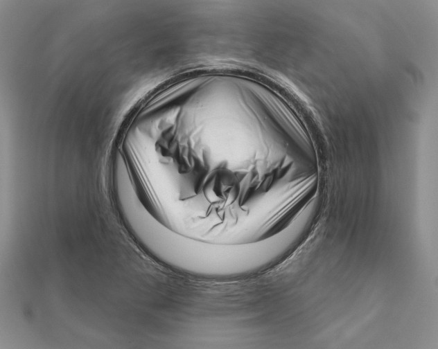 X0000111201269200907291222